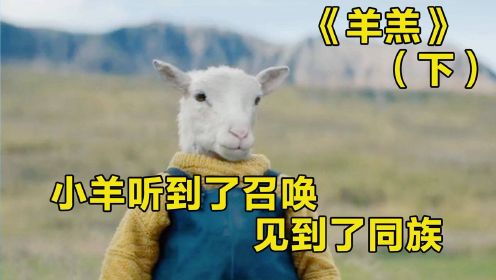 羊羔：小羊羔听到召唤，见到了族人，整日在思考自己是人还是羊