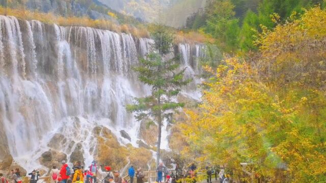 实拍中国最宽的钙化瀑布,九寨沟诺日朗瀑布.西游记曾经的取景地