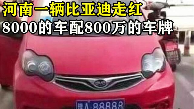 河南一辆比亚迪走红,8000的车配800万的车牌,网友:车主有故事