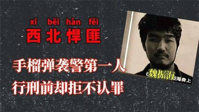 西安匪首魏振海,唯一不认罪却被执行死刑的悍匪,他都犯了哪些事