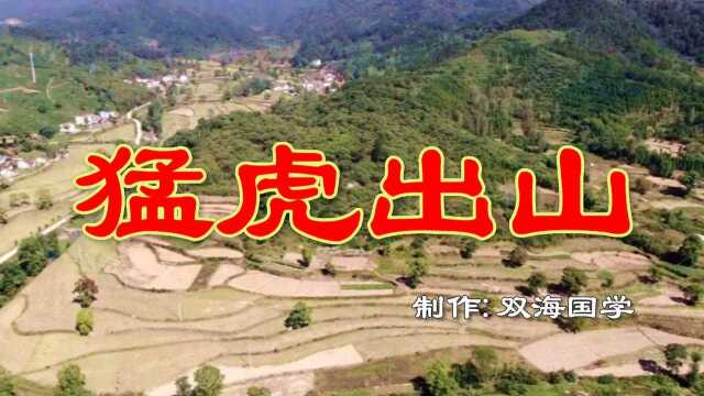 河南新县少将吴华夺祖地《猛虎出山》