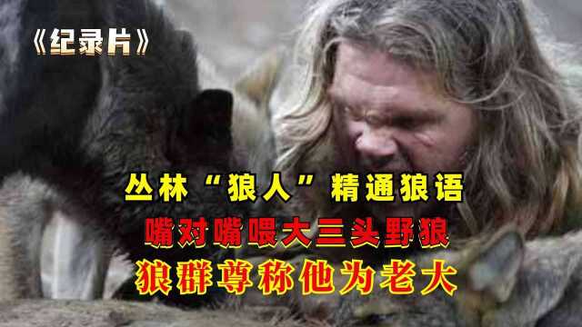 丛林“狼人”精通狼语,嘴对嘴喂大三头野狼,狼群尊称他为老大【3】