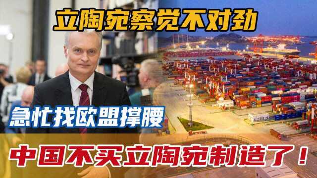 中国不买立陶宛制造了!立陶宛察觉不对劲,急忙找欧盟撑腰