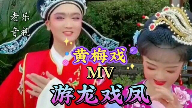 MV 完整收藏版,黄梅戏《游龙戏凤》老乐音视精心制作