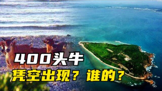 西沙东岛野牛泛滥成灾,这里四面环海,牛是从哪里来的?