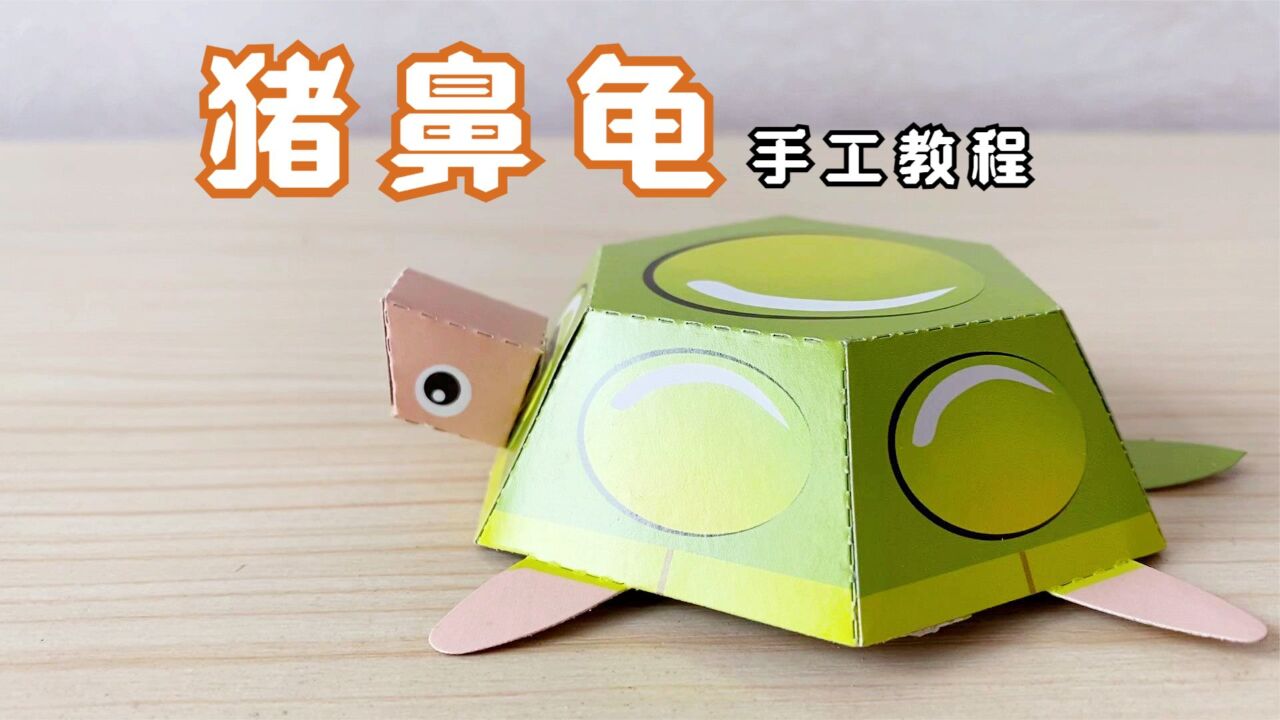 立体折纸DIY,“猪鼻龟”的制作方法!