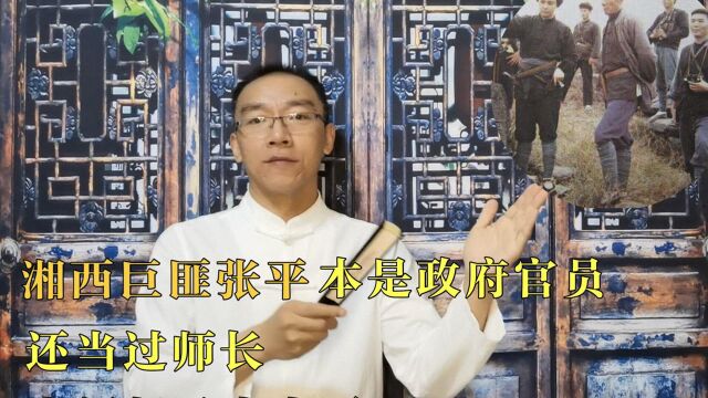 湘西巨匪张平,本是政府官员,还当过师长,为何却又当土匪