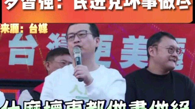 罗智强:民进党坏事做尽