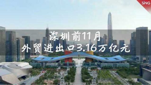 深圳外贸进出口规模连续13个月正增长