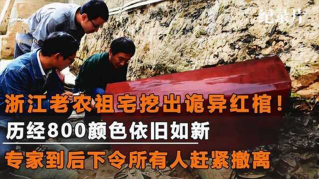 浙江老农棺材上睡30年?祖宅翻新挖出诡异红棺,专家下令赶紧撤离#好片推荐官#