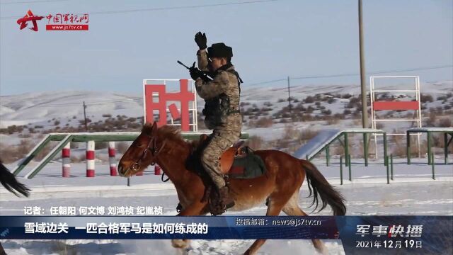 雪域边关 一匹合格军马是如何练成的