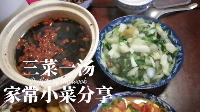 家常小菜三菜一汤组合分享