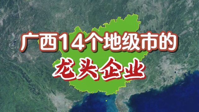 广西14个地级市的龙头企业,你知道几个?