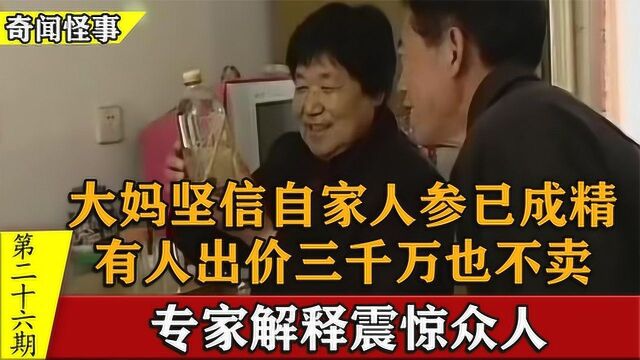 大妈坚信自家人参已成精,出价三千万也不卖,专家给出合理解释#好片推荐官#