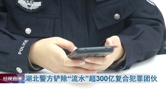 湖北警方铲除“流水”超300亿复合犯罪团伙