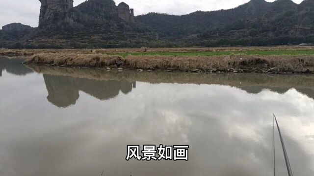 桃渚风景区野钓,窝料真的很重要?用对了就狂拉!