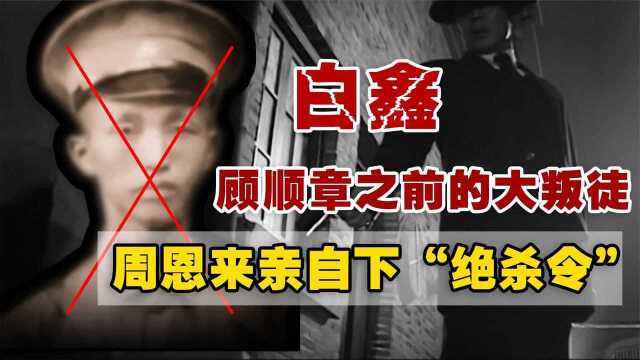 白鑫:在顾顺章之前的大叛徒,导致4个高层遇害,周恩来下令铲除