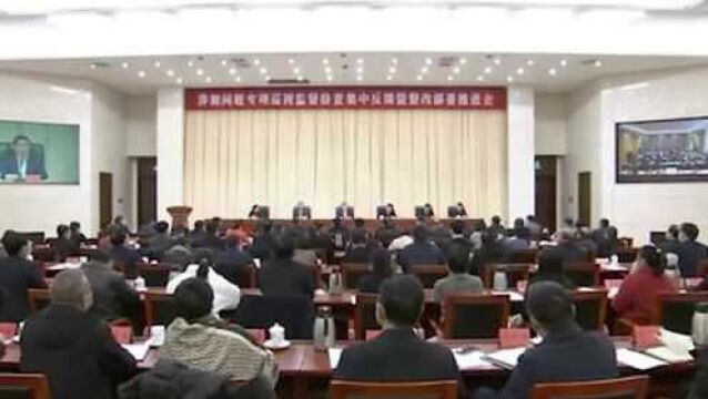 严惩胆大妄为、贪得无厌者!代省长“撂狠话”的背后,有个大背景