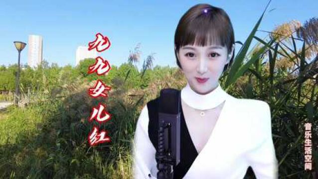 梁红一曲《九九女儿红》欢快又动听,经典老歌,越听越有味