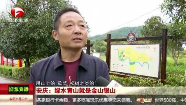 书记市长谈环保 | 安庆:共抓长江大保护,一城活水漾宜城