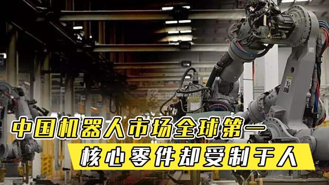 中国机器人市场全球第一,核心零件却受制于人,35%利润归日本