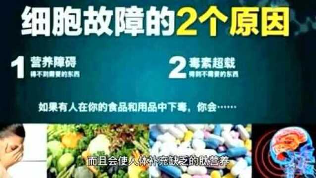 九个视频:带您充分认识《肽》的重要性!