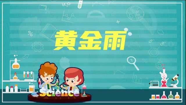 趣味科学课——黄金雨