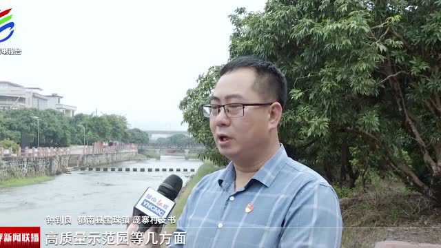 郁南宝珠:荔乡古韵焕发新活力