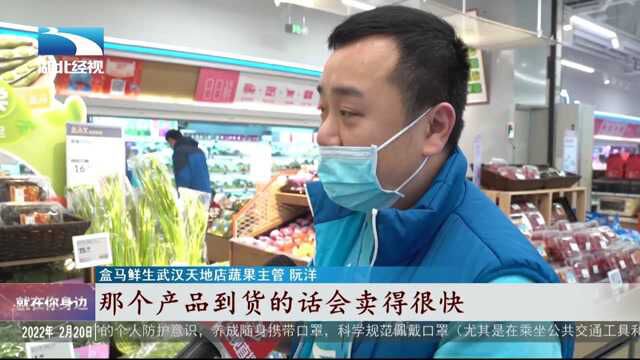 武汉春菜上新 品种多样受欢迎