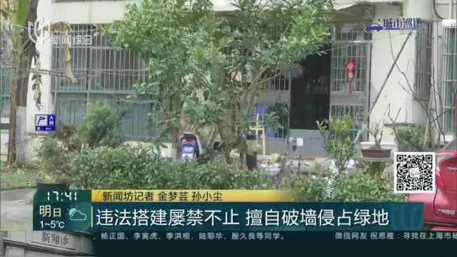 违法搭建屡禁不止 擅自破墙侵占绿地