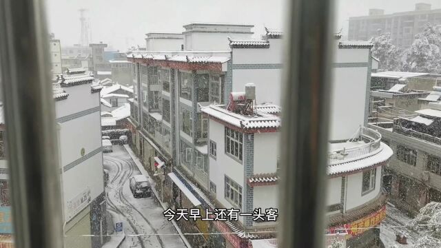 下雪了,很激动很激动,走走走,玩雪去,赏雪去!