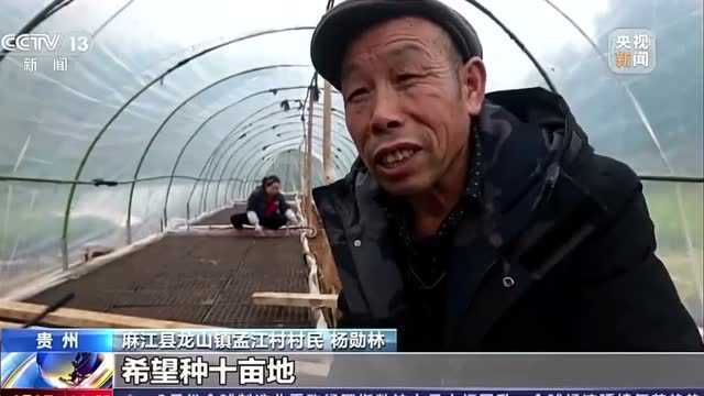 央视关注了凯里街头这个美食!