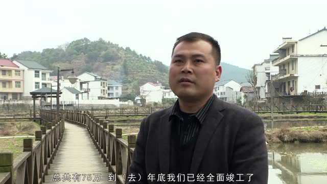 广丰区排山镇:以乡村建设助力乡村振兴