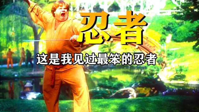 你见过这么笨的忍者吗,跟功夫熊猫有得一比《比佛利武士》喜剧片