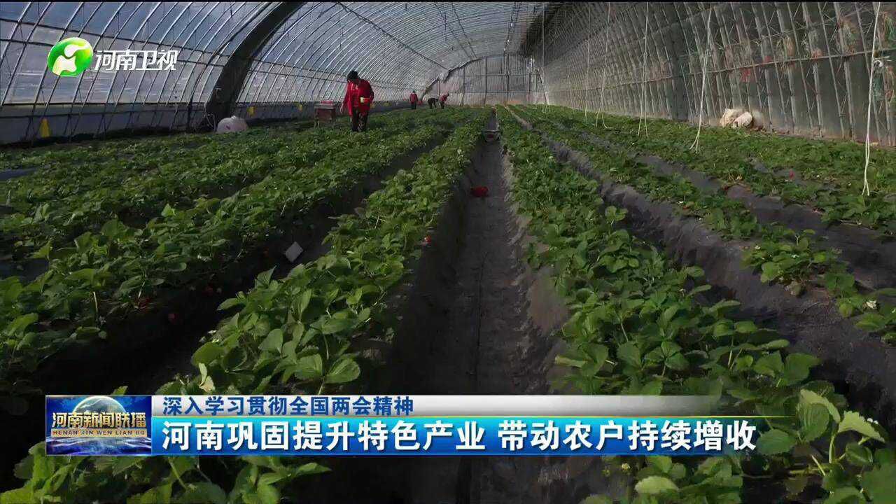 河南巩固提升特色产业 带动农户持续增收