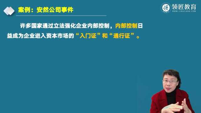 高级会计实务企业风险管理与内部控制案例