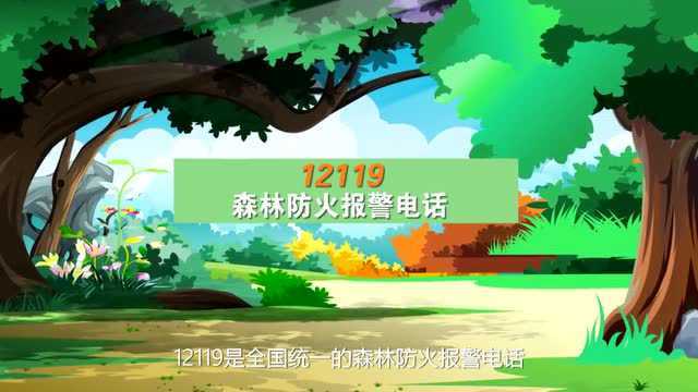 视频:《绿色呵护你我他,护林防火靠大家》