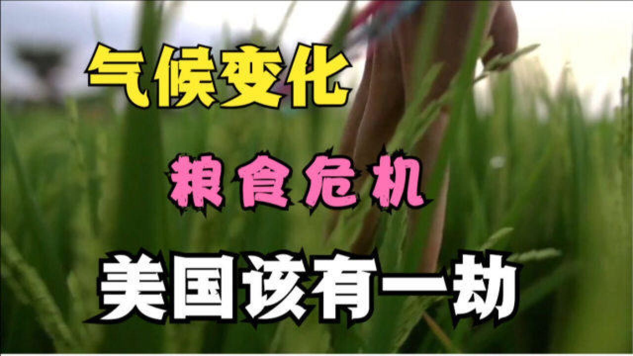 深度分析食物危机,气候变化,给大国带来的变化