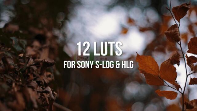 适用于HLG和 SLOG的索尼A7S III A7III的LUT调色预设