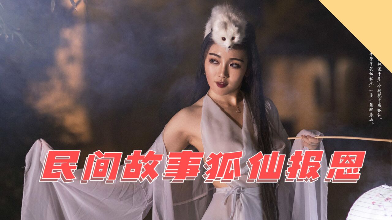民间故事之狐仙来报恩,丈夫死亡,惊动皇上和天师