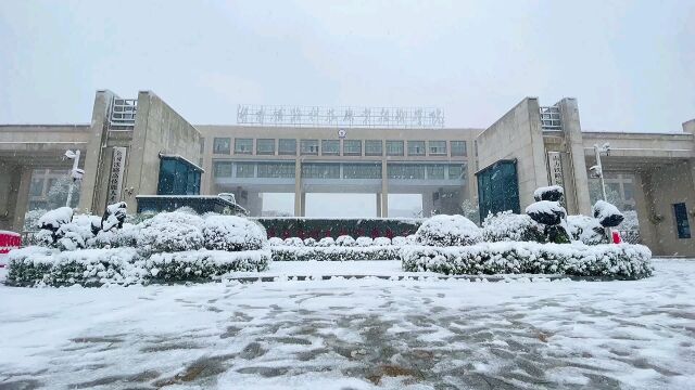 《听 雪落的声音》