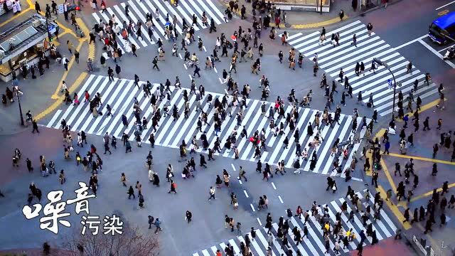 【公益广告】保护森林资源 改善人居环境