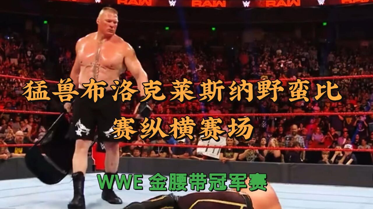 wwe猛兽布洛克莱斯纳野蛮比赛纵横赛场!
