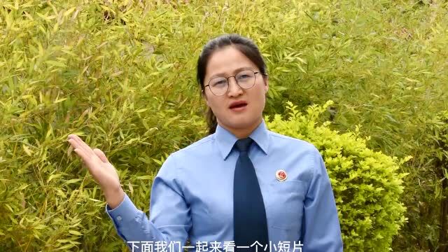 国家安全教育日 | 看,楚雄检察机关的“花式”普法