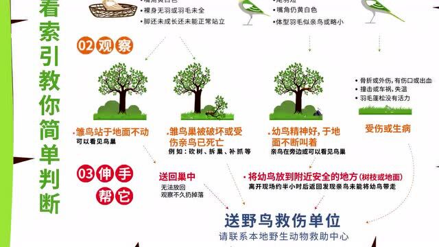 全国湿地自然笔记接力赛|中部赛区投稿通道已正式开启