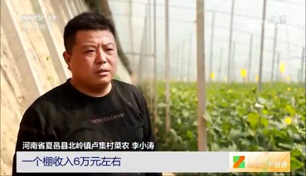 又上央视!夏邑“一村一品”特色产业渐成气候