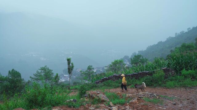 落絮游丝三月候,风吹雨洗一城花.