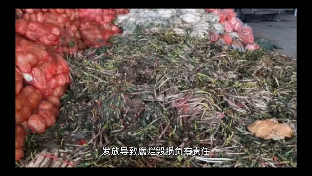 上海宝山区3名干部因发放保供物资失职渎职被问责