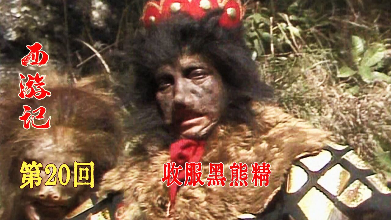 西游记:黑熊怪嘲讽技能满点,惹怒弼马温孙悟空