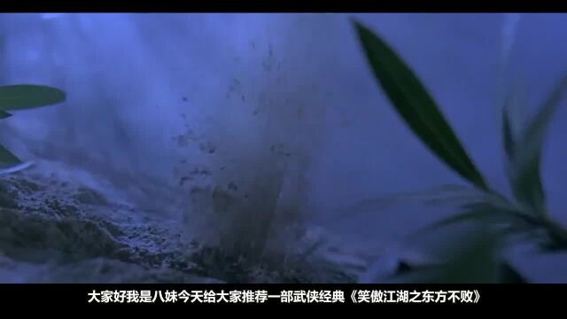 这部武侠片堪称是集大成之作:动作设计达到了全新的高度